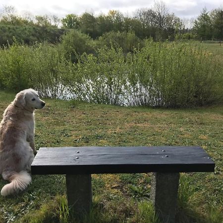 Bb-Vadehavet Ferielejlighed Til 6 Personer Ved Nationalpark Vadehavet Ribe Zewnętrze zdjęcie