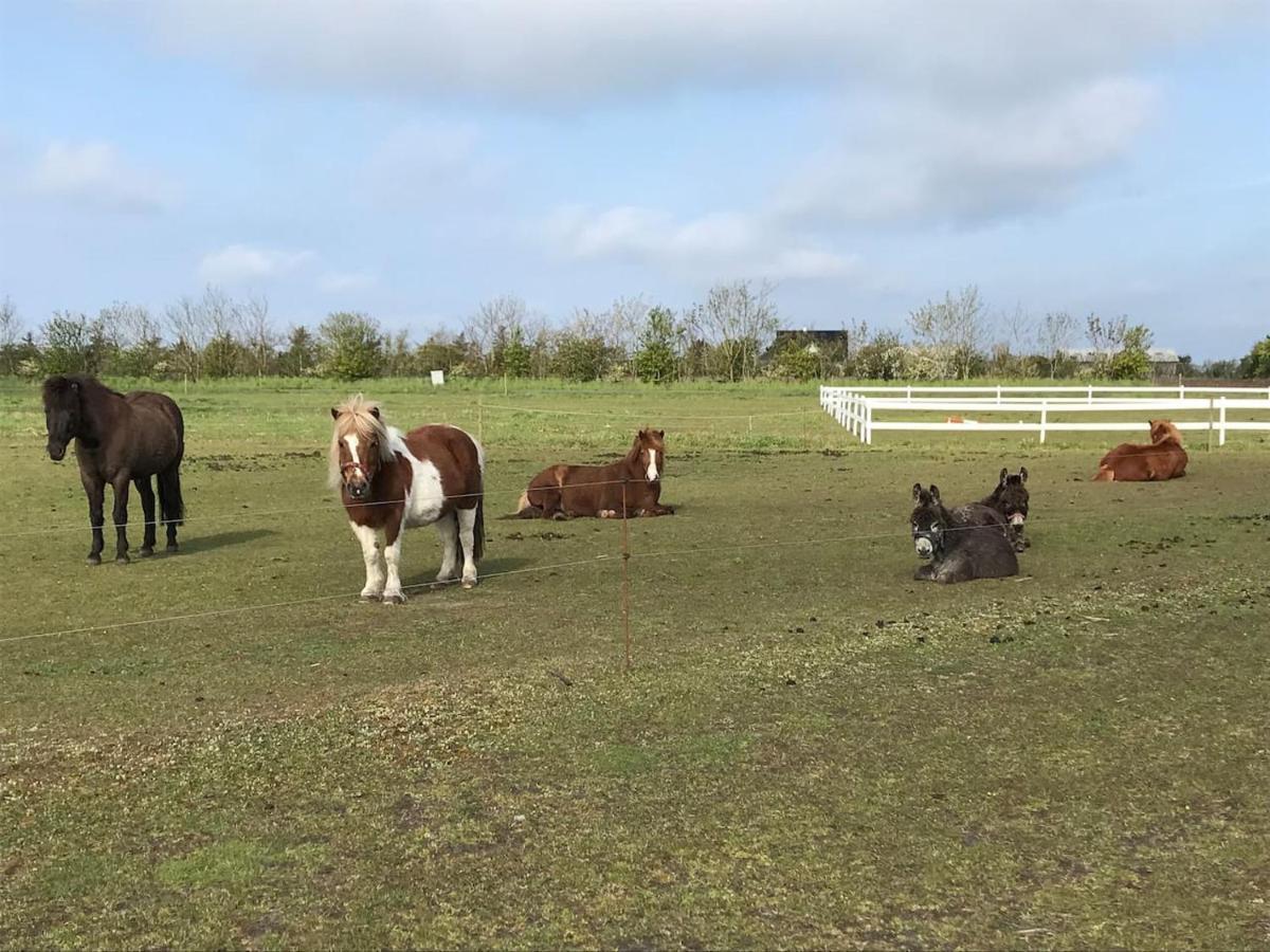 Bb-Vadehavet Ferielejlighed Til 6 Personer Ved Nationalpark Vadehavet Ribe Zewnętrze zdjęcie